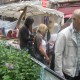 IMG_0174