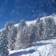 IMG_0026